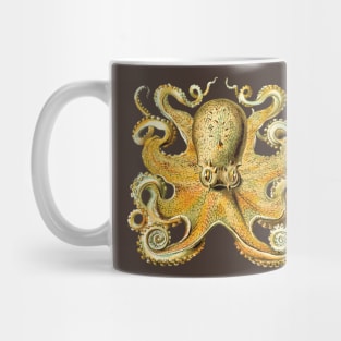 Vintage 1904 Haeckel Octopus - Cephalopod Octopoda Ocean Creature Mug